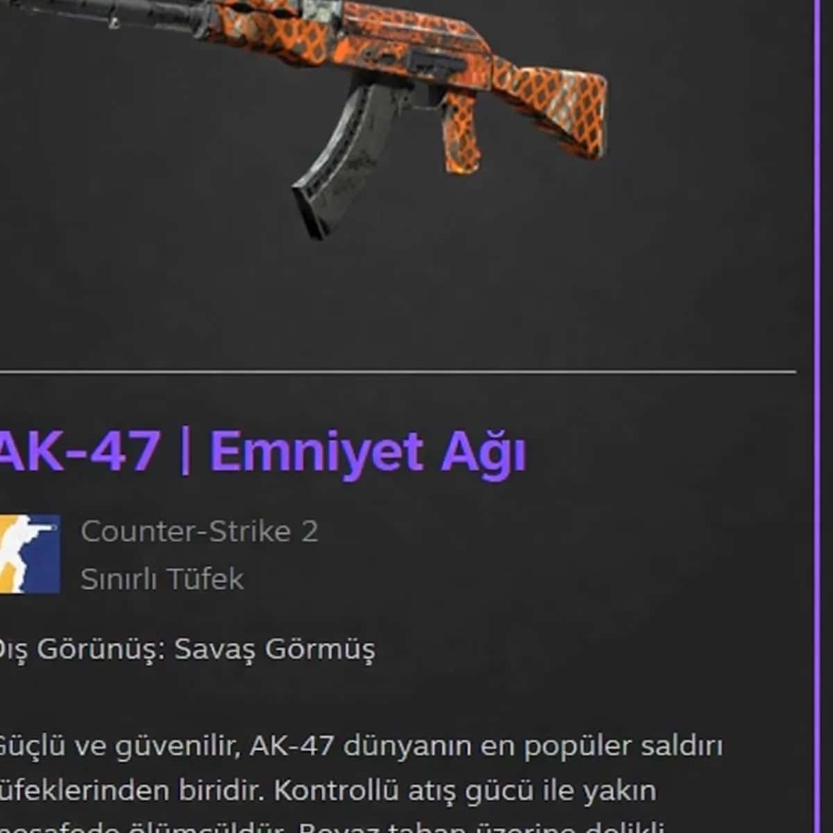 AK-47 | Emniyet Ağı (Savaş Görmüş)