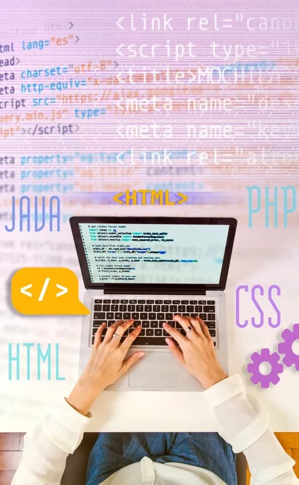 Website Script Satışı