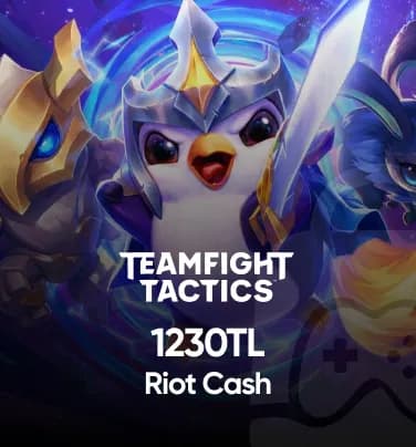 TFT 1230 TL Riot Cash